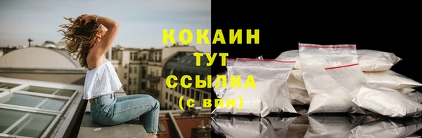 винт Бородино