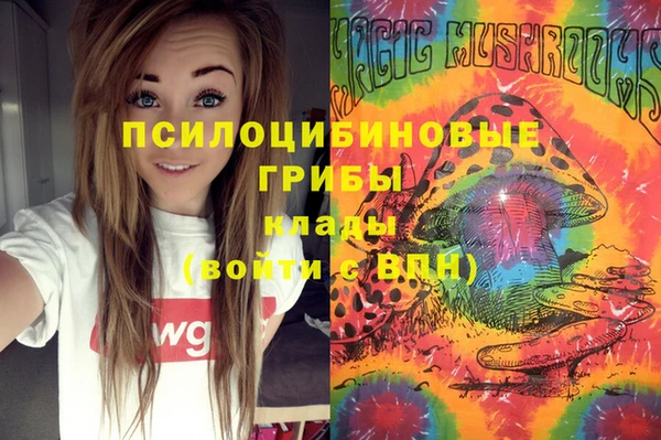 винт Бородино