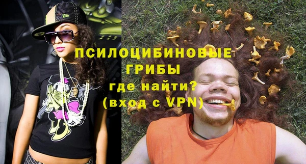 винт Бородино